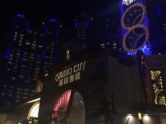 -影汇之星8字形摩天轮