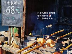 -呀路古热带植物园