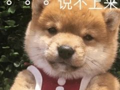 -芜湖白金汉爵大酒店