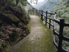 -大鄣山卧龙谷景区