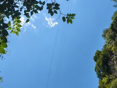 -西北农林科技大学(北校区)