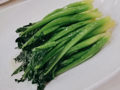 -巴音浩日娲酒楼(双林东路店)