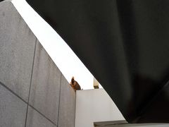 -UNI UNI(环亚凯瑟琳店)