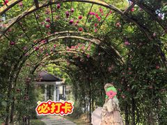 -大关公园