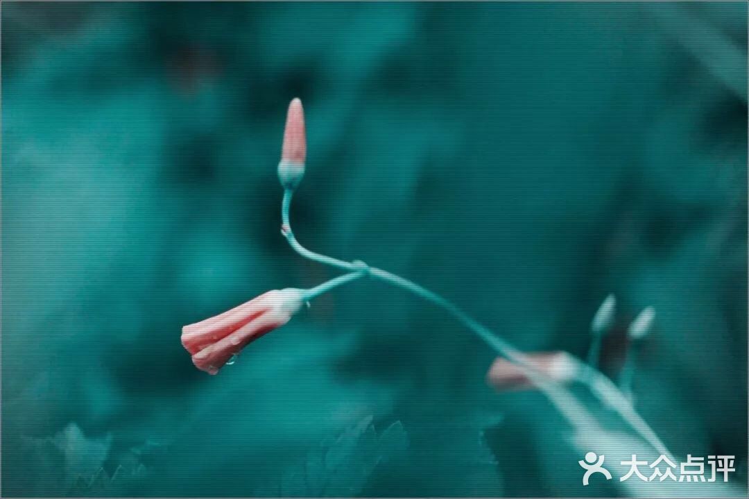 从而感知生活的美好。卢森堡说得好