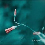 从而感知生活的美好。卢森堡说得好