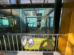 -无锡动物园·太湖欢乐园