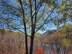 -玉渡山自然风景区