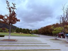 -狼山风景名胜区