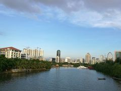 -万绿园