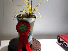 -国家植物园