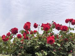 -上海交通大学(闵行校区)