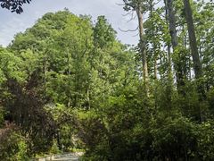 -高荡千年布依古寨旅游景区