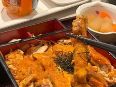 -dodonpa.墩墩伐 便当食堂(博华广场店)