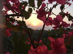 金棕榈酒店-三亚亚龙湾金棕榈度假酒店