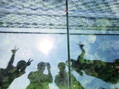 -梦幻奥陶纪景区