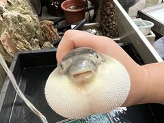 -观桥阁(锦溪店)