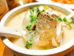 -丹江渔村(望京店)