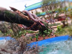 -七彩云南欢乐世界