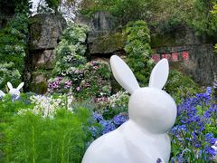 -深圳仙湖植物园