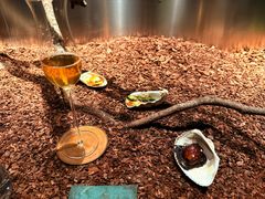 -曲廊院(东四十一条店)