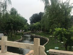 -春风习习