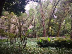 -四川大学(望江校区)