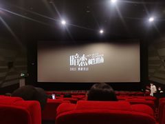 -保利国际影城(百花谷店)