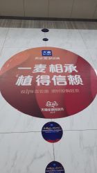 -大麦微针植发丨全国连锁