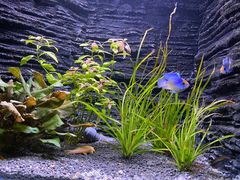 -上海海洋水族馆