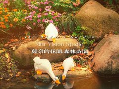 -上海共青森林公园