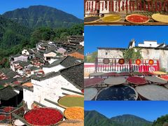 -婺源风景区