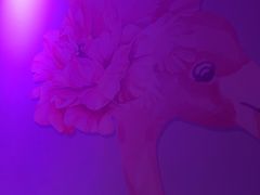 -尚酷麦量贩KTV(金州店)