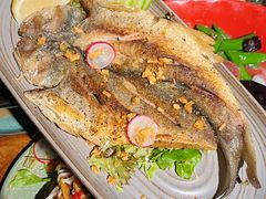 -食陆号·新式台湾创意菜(苏州首店)