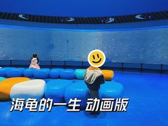 -广东惠东海龟国家级自然保护区