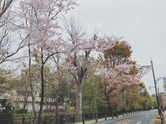 -三鹰之森吉卜力美术馆