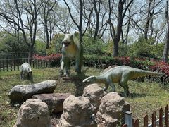 -上海海湾国家森林公园