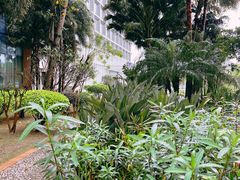 -广州白云机场诺富特酒店