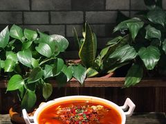 -庆合府重庆大排档(紫都城店)