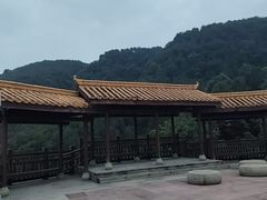 -铁山坪森林公园