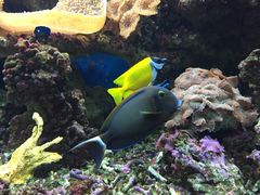 iphone_upload_pic-御唐府海珊瑚主题餐厅