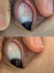 -初心纹眉洗眉·美睫专业店