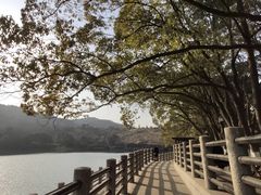 -白马涧龙池景区
