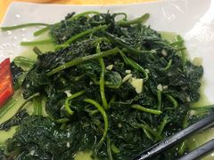 -鸽王世家(东华东路店)