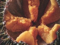 -海胆小馆(东北水饺·春柳店)