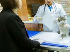 -纳吉亚猫专科动物医院博雅分院