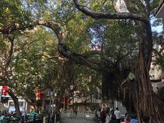 -小洲村