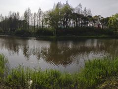 -新江湾城公园