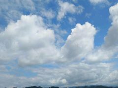 -沪上阿姨·精选茶饮(华强广场店)