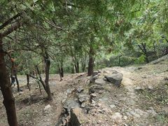 -北京鹫峰国家森林公园